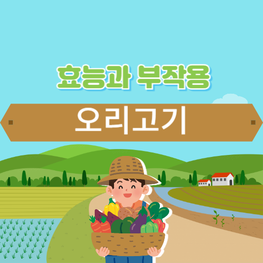 오리고기의 효능과 부작용