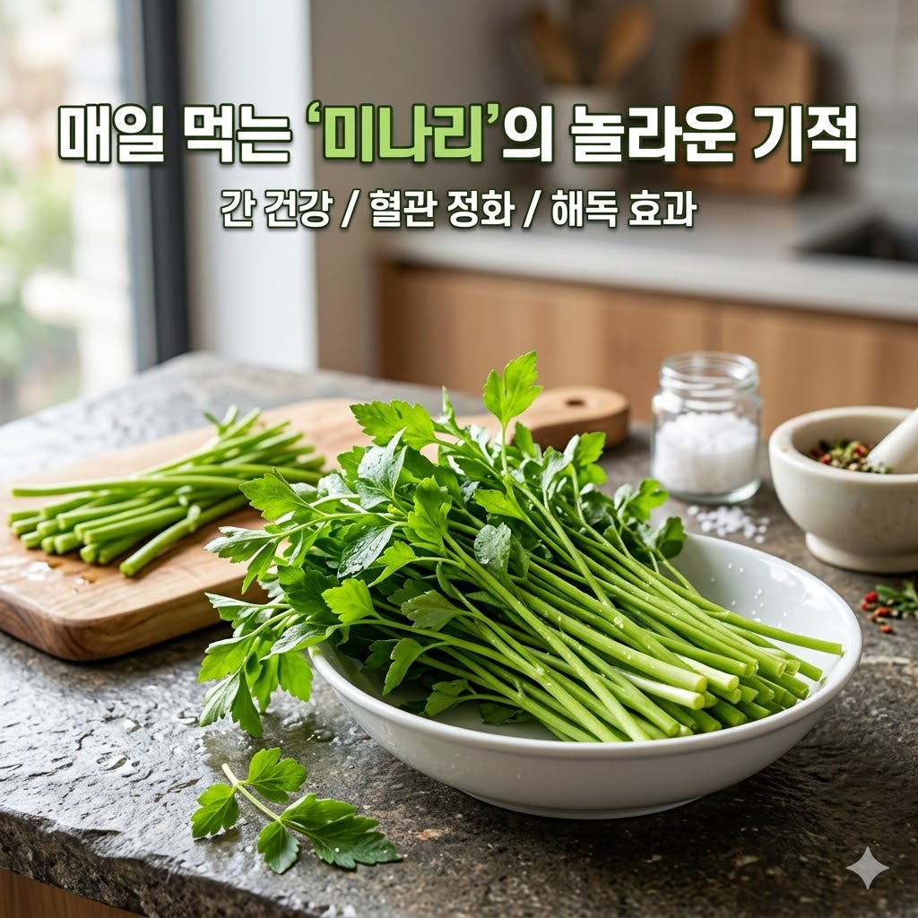 미나리 효능