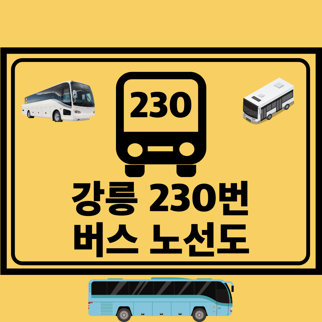강릉_230번_일반버스_노선도