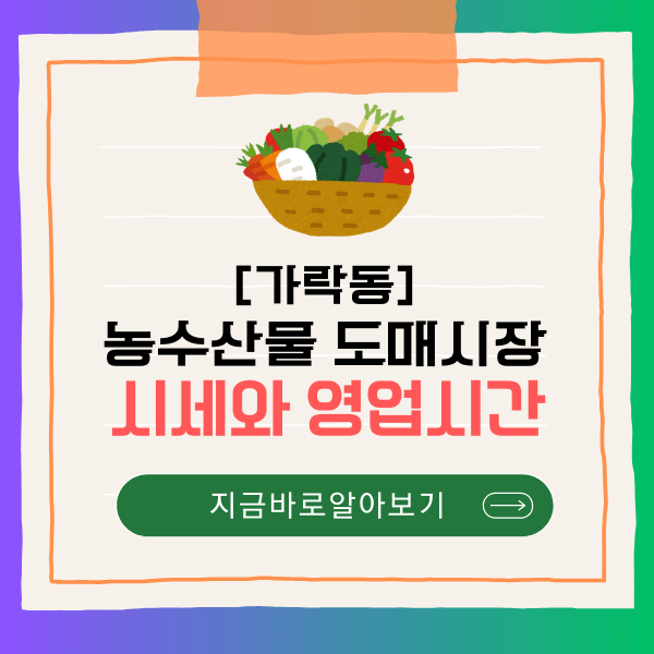 가락동 농수산물 도매시장 홈페이지: 시세, 영업시간