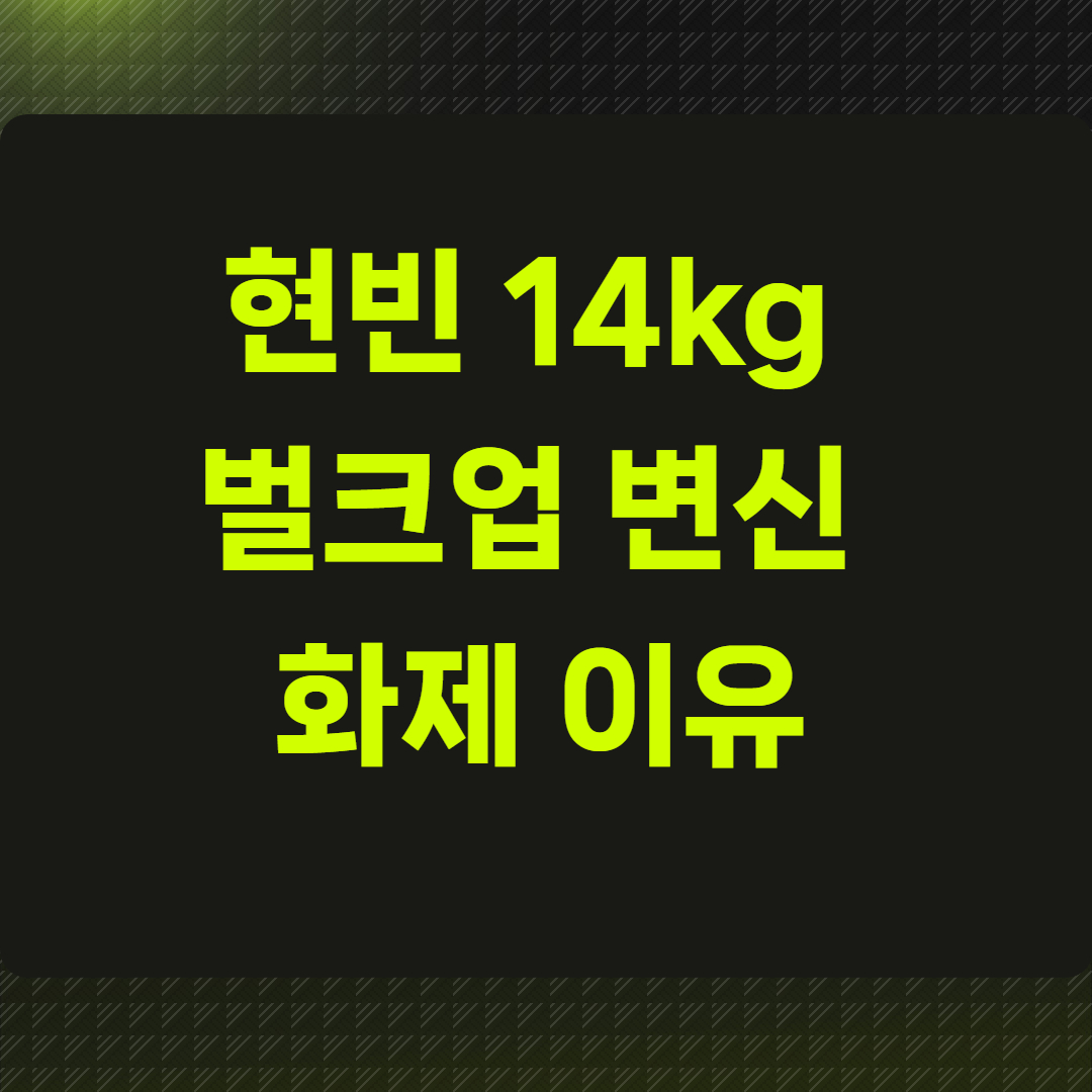 현빈 14kg 벌크업 변신 화제 이유