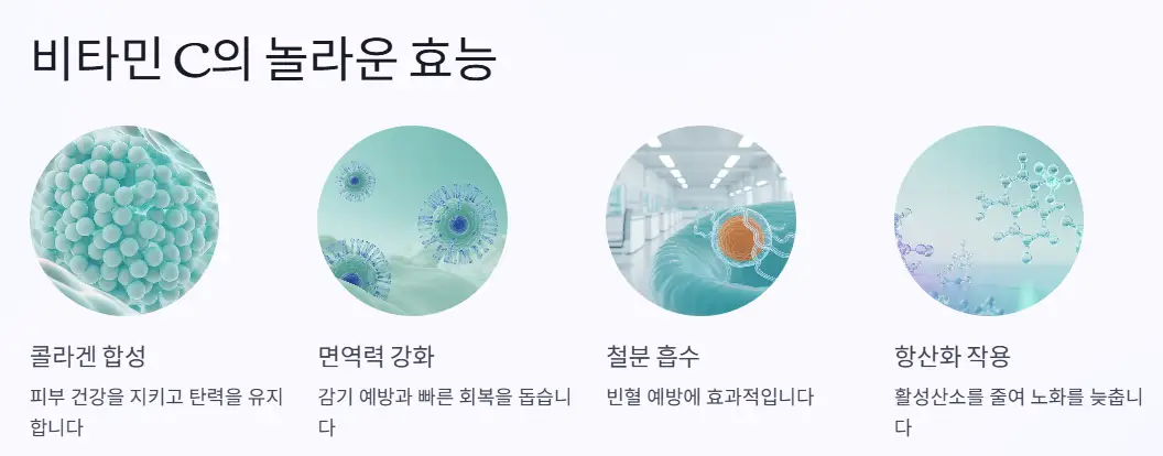 비타민 c 효능