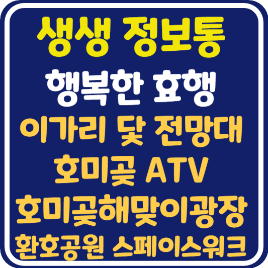생생 정보통 포항 여행 이가리 닻 전망대, 호미곶ATV, 호미곶해맞이광장, 환호공원 스페이스 워크 정보 안내 : 행복한 효행할까요?