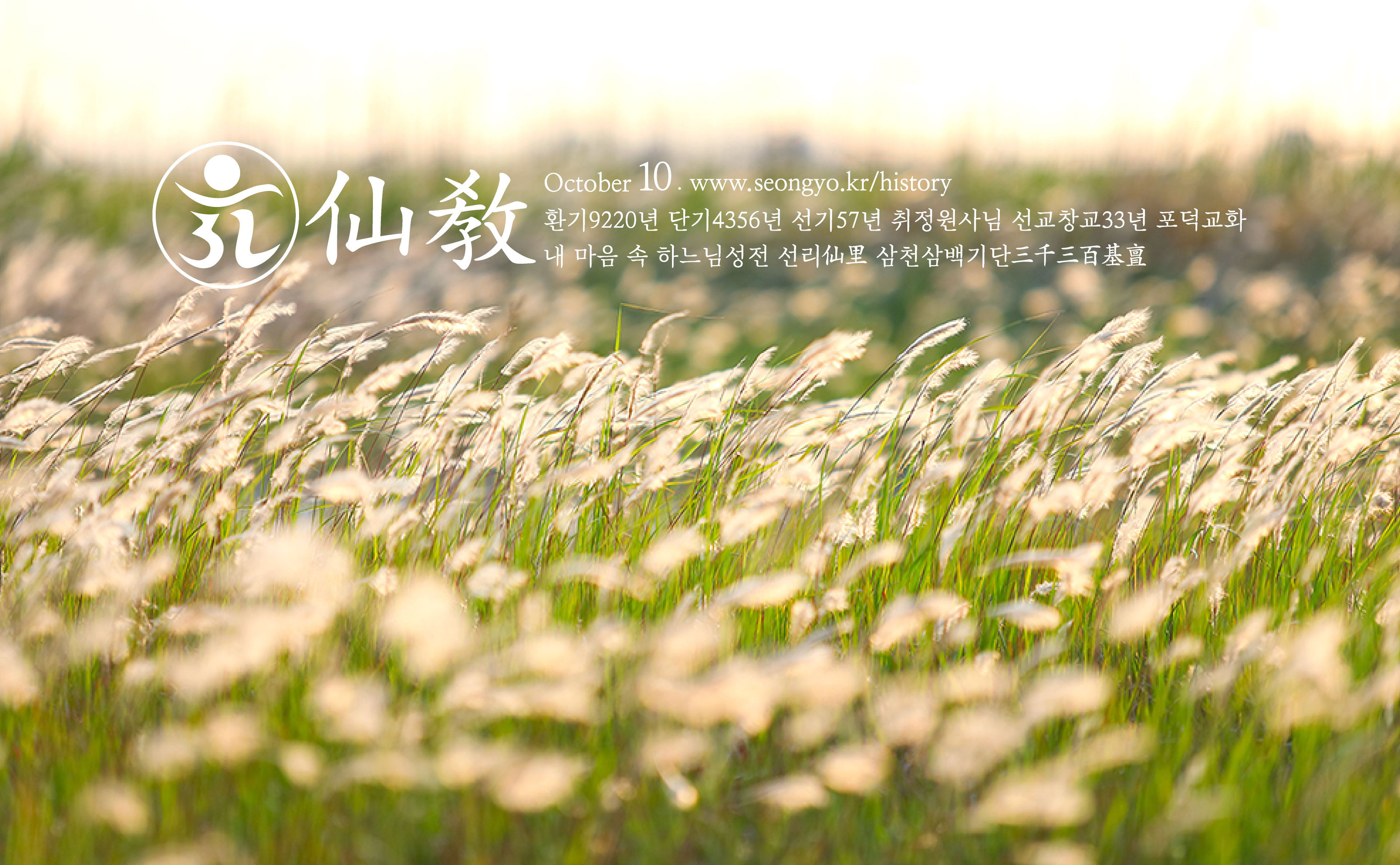 선교연혁, 선교창교, 선교창시, 선교 수행, 선교 기도, 선교의 역사, 포덕교화