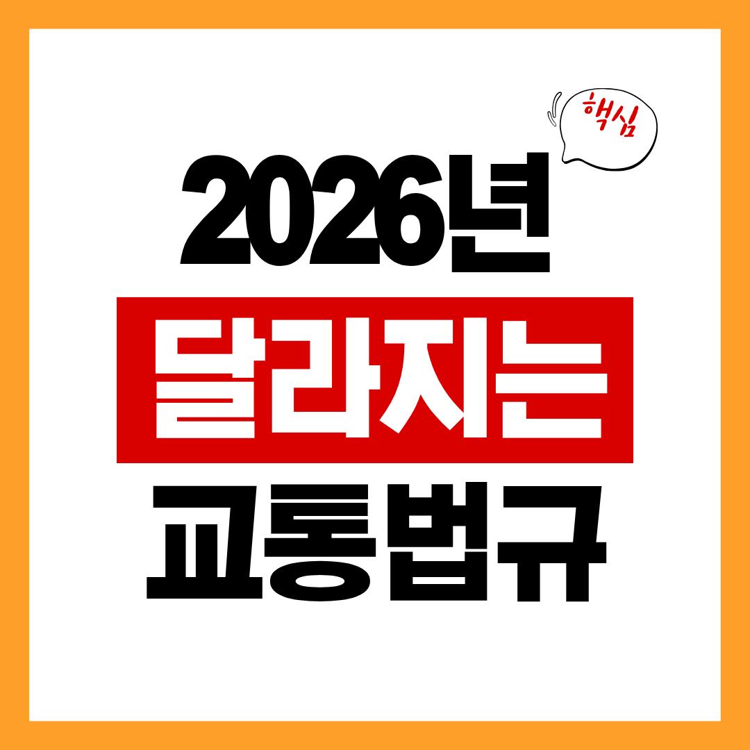 2026년도 달라지는 교통 법규 및 제도 총정리