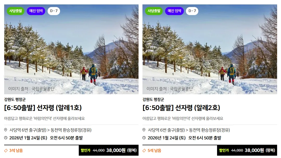 강원도 선자령 말레버스 버스 투어