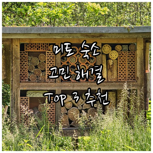 미토 여행 숙소 고민 끝! 인기 호텔..