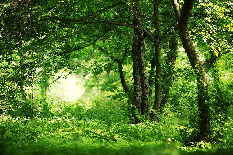 우울할 때 기분전환에 좋은 음식 10가지 &ndash; 마음까지 따뜻해지는 식단 관련 사진