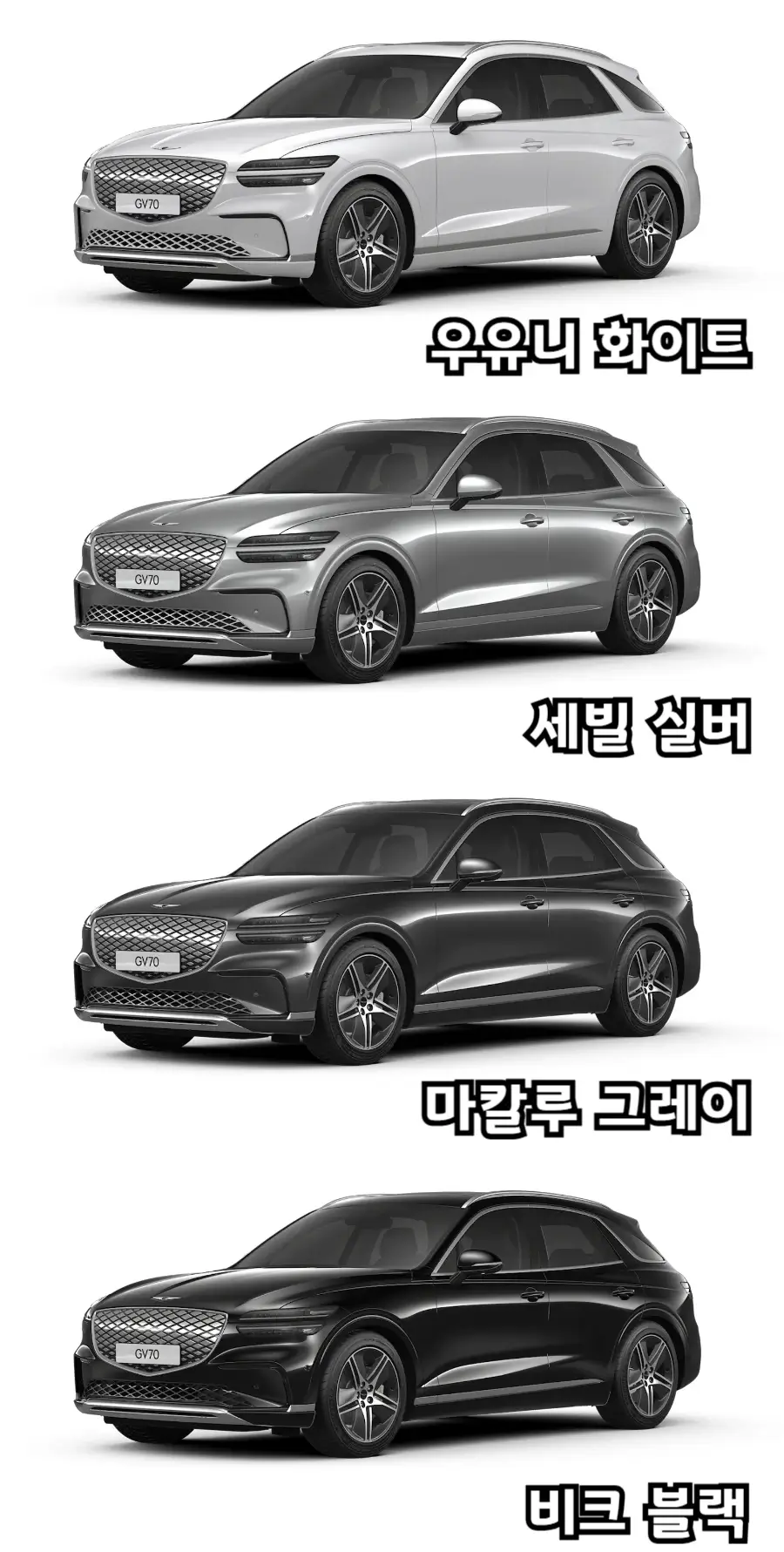 2025-GV70-전기차-외장색상1