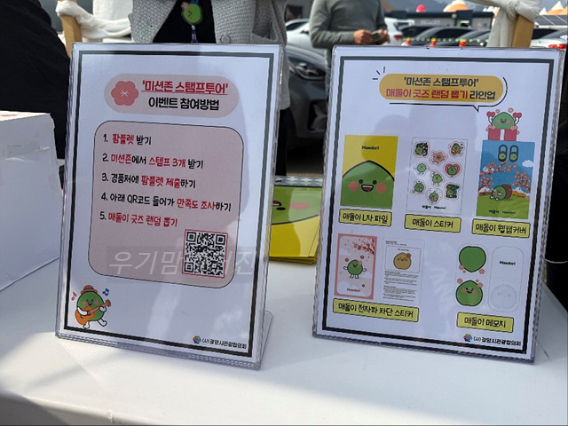 광양매화축제 기간 입장료 개화상황 프로그램 주차장 셔틀버스 25년3월8일실시간사진