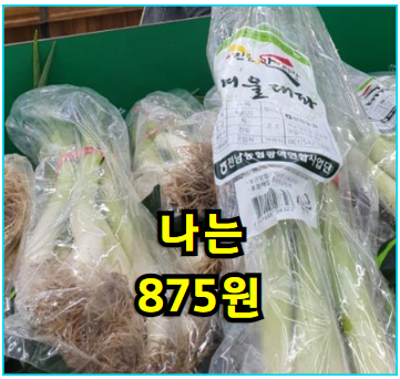대파 한 단에 875원