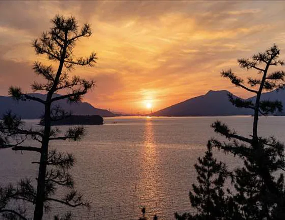 월든 풀빌라펜션