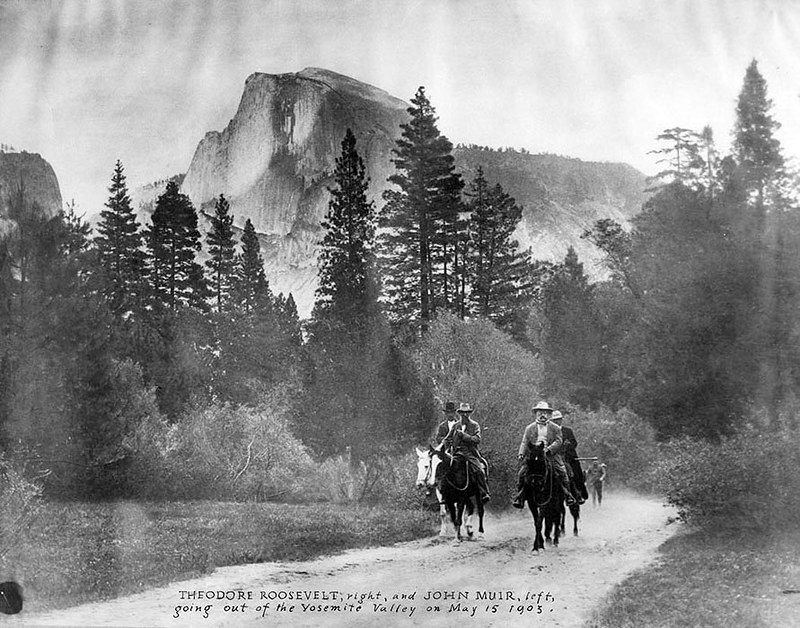 Yosemite John Muir