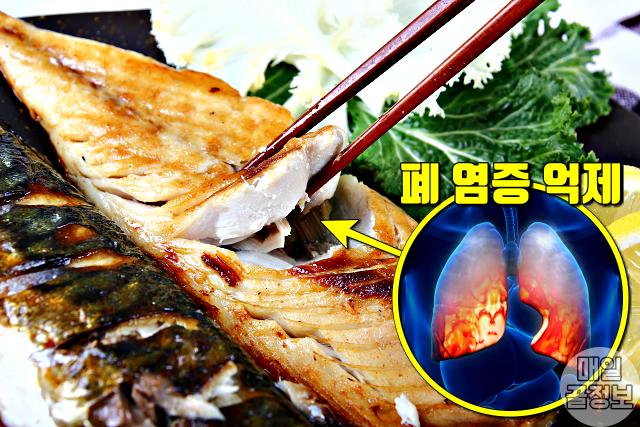 코로나 면역력 높이는 음식,면역력 높이는 방법,고등어 효능,팁줌