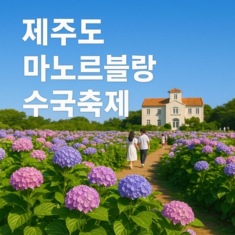 제주도 마노르블랑 수국축제 일정 (준비물, 순서, 안내) 관련사진