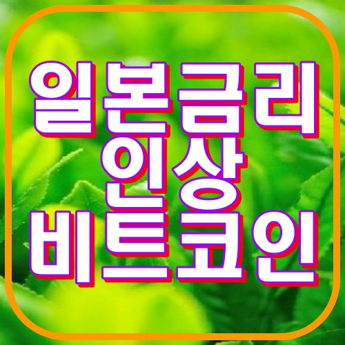 일본금리인상 비트코인