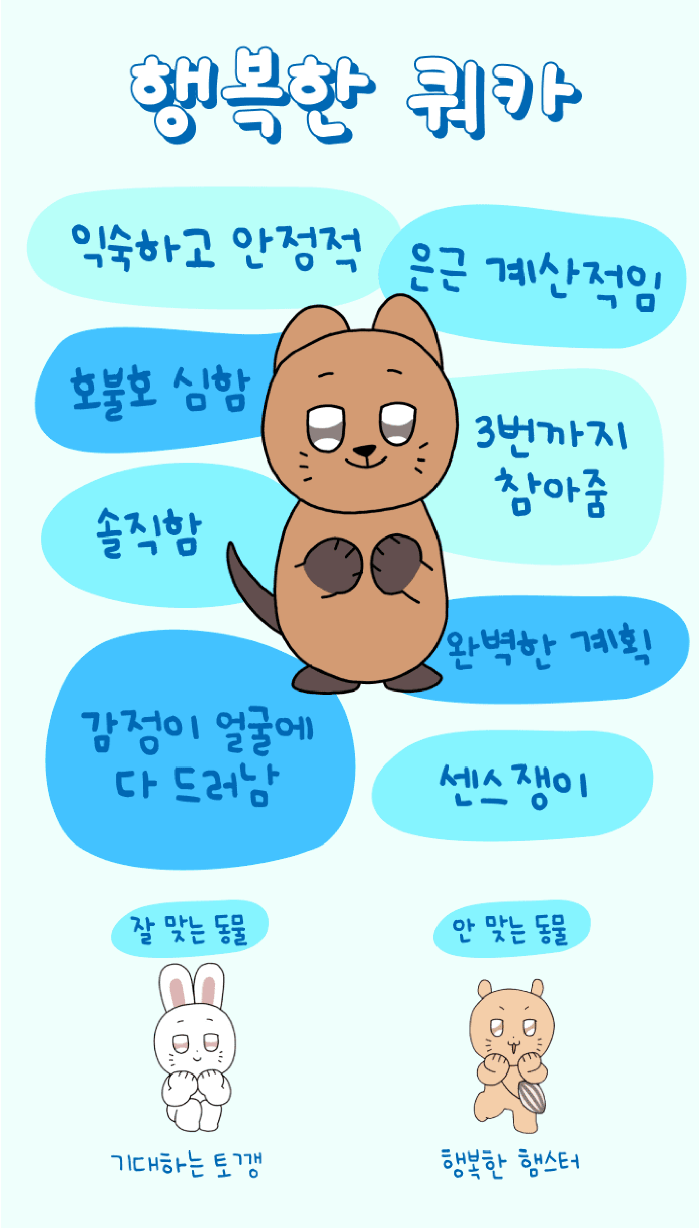 푸망 나만의 핑 테스트/ 해시태그 테스트/ 운명의 동물 테스트