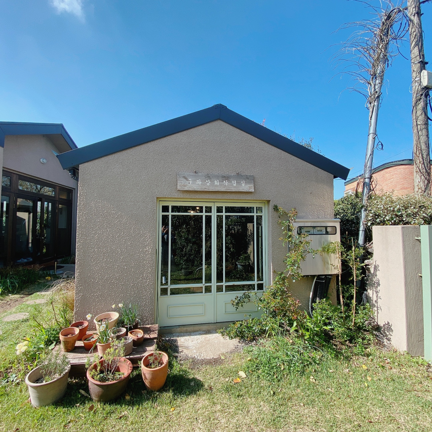 제주 조천 스위스마을 백종원의 3대천왕 당근케이크 구좌상회 카페