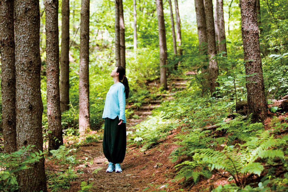 자연소리가 집중력을 높이는 이유