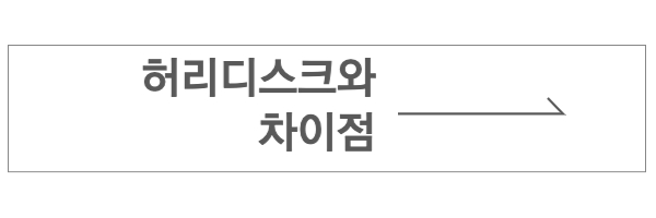 허리디스크