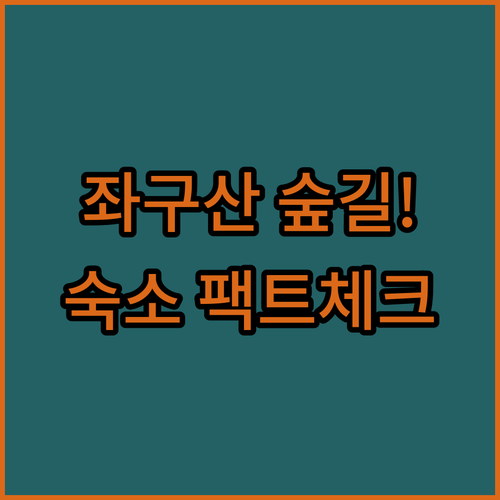 좌구산 휴양림 초보자 숲길 걷기 코스..