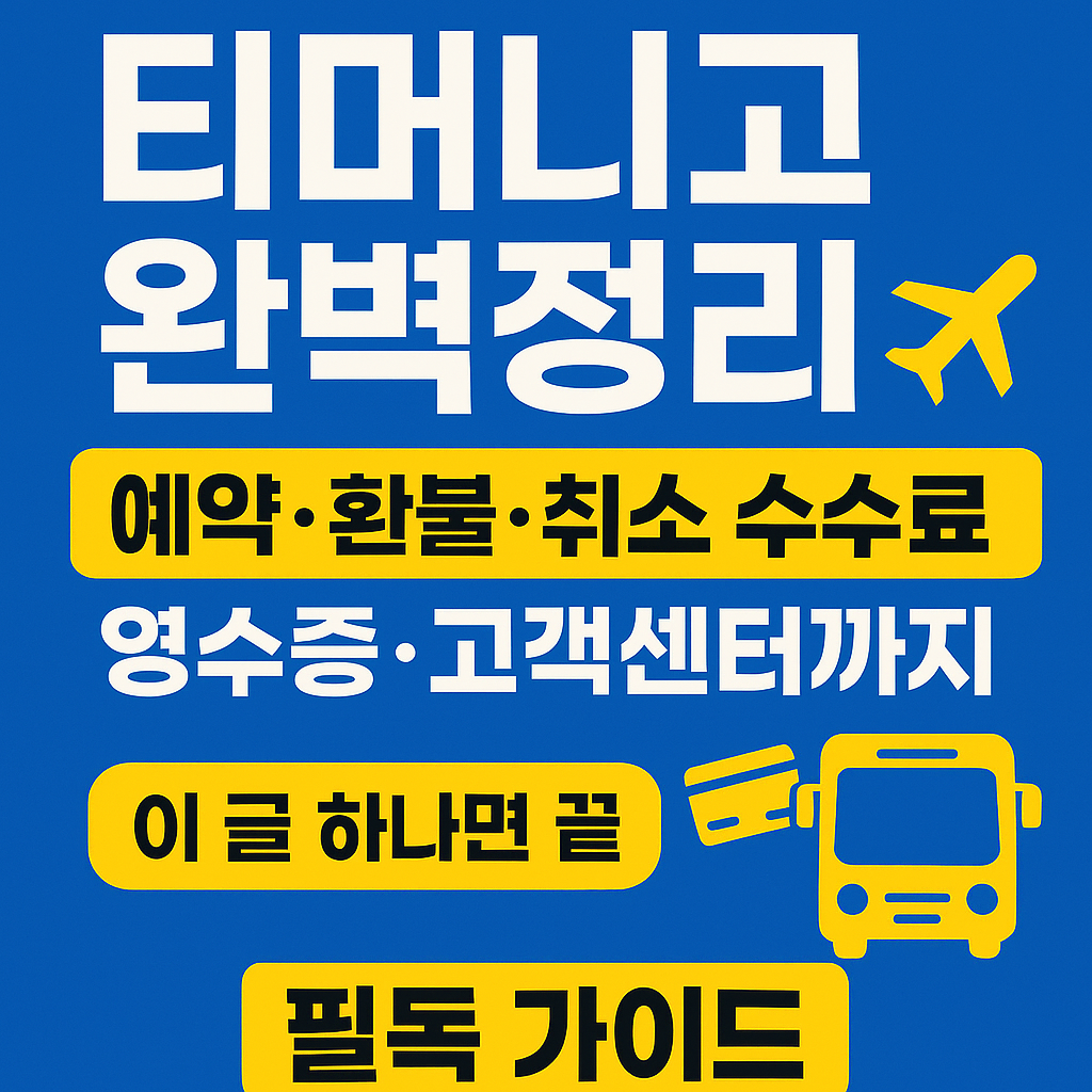 🚍티머니고 완벽 가이드