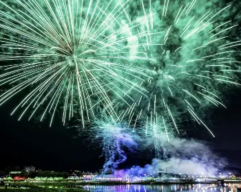 장성 황룡강 가을꽃축제_21