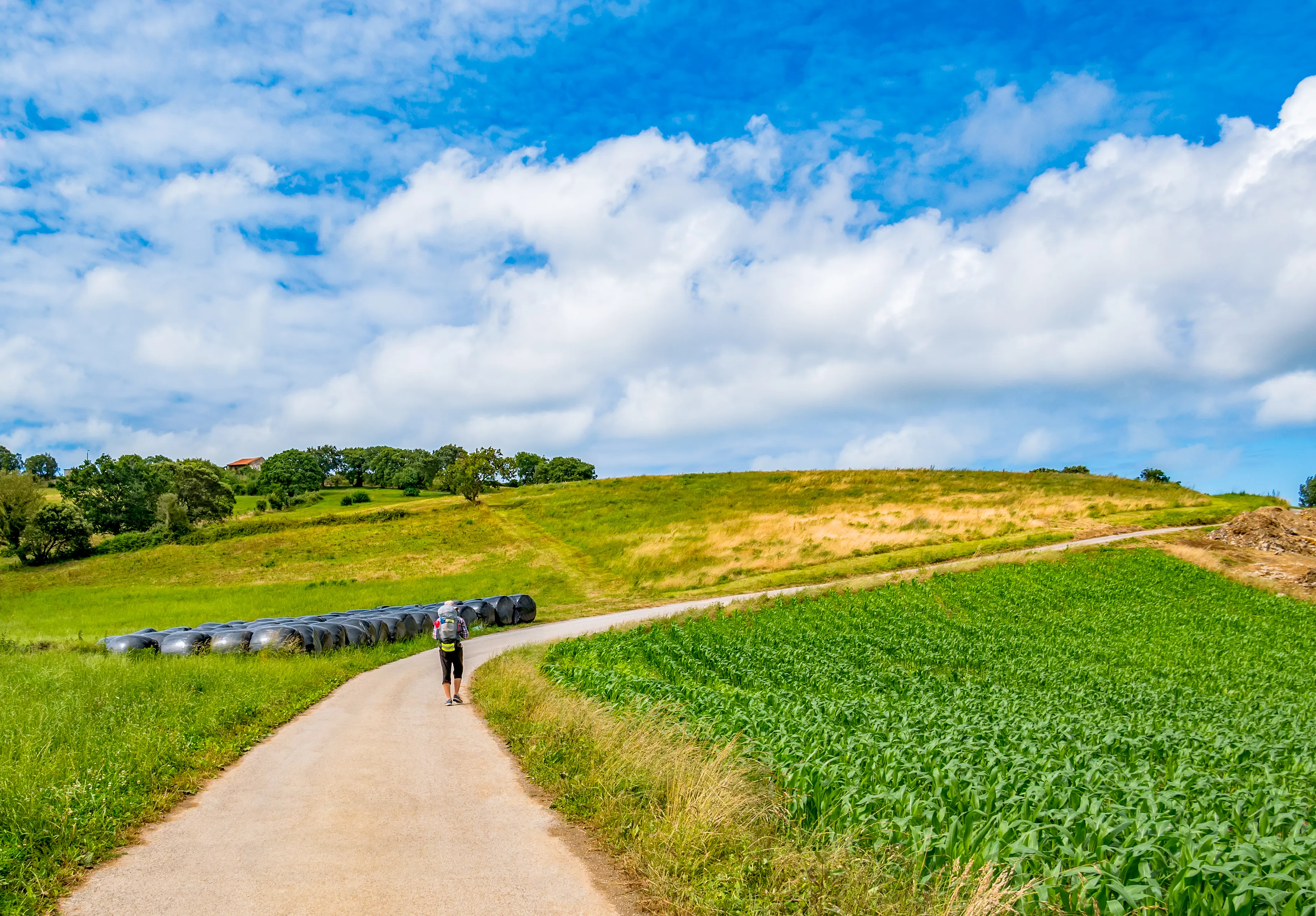 스페인 산티아고 순례길 역사 의미 유래_7