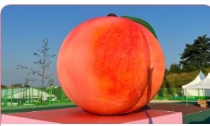 조치원 복숭아축제