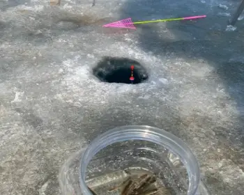 양평 산수유마을 빙어축제_5