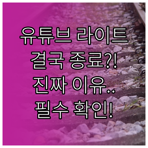 광고 없는 시청만 제공했던 유튜브 프..
