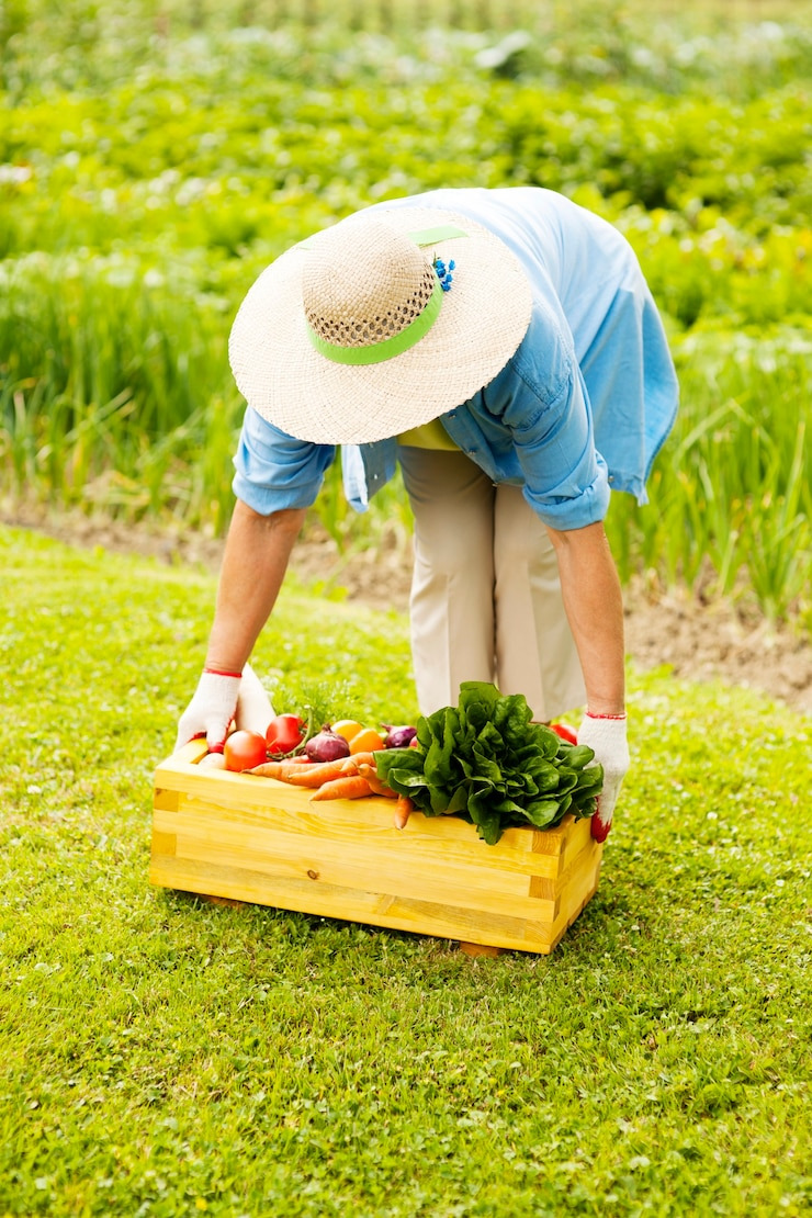 농업인자격조건