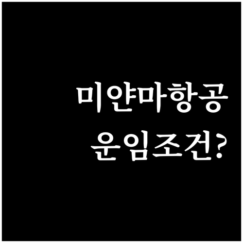 미얀마항공 환불 규정, 예약 내역에서..