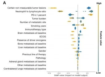 폐암 면역항암제 치료비 절반으로 줄이는 보험 활용 전략으로 실전팁_6