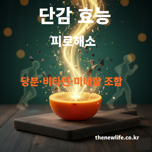 단감의 당분과 비타민·미네랄 조합이 피로 해소와 에너지 공급에 도움을 주는 효능을 표현한 인공 이미지