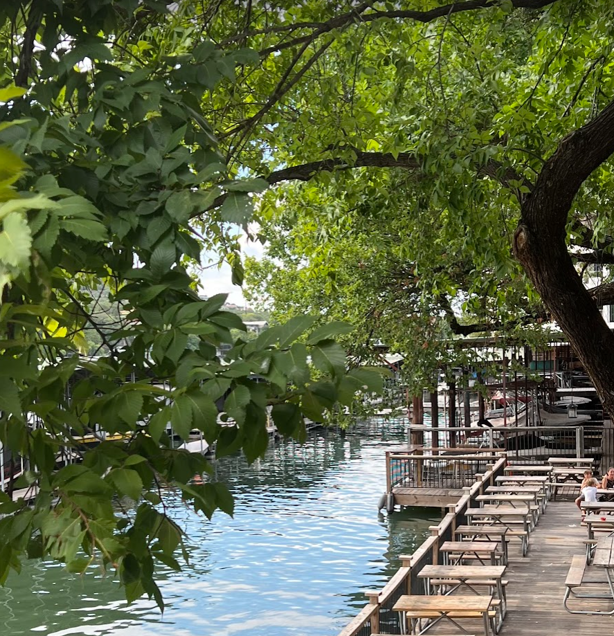 오스틴 모짜르트