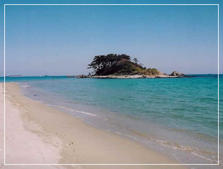 울산 가볼만한곳 베스트10 진하해수욕장