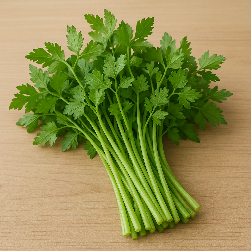 미나리 잎을 클로즈업한 모습으로, 섬세한 톱니 모양의 잎과 밝은 초록빛 줄기가 돋보임.