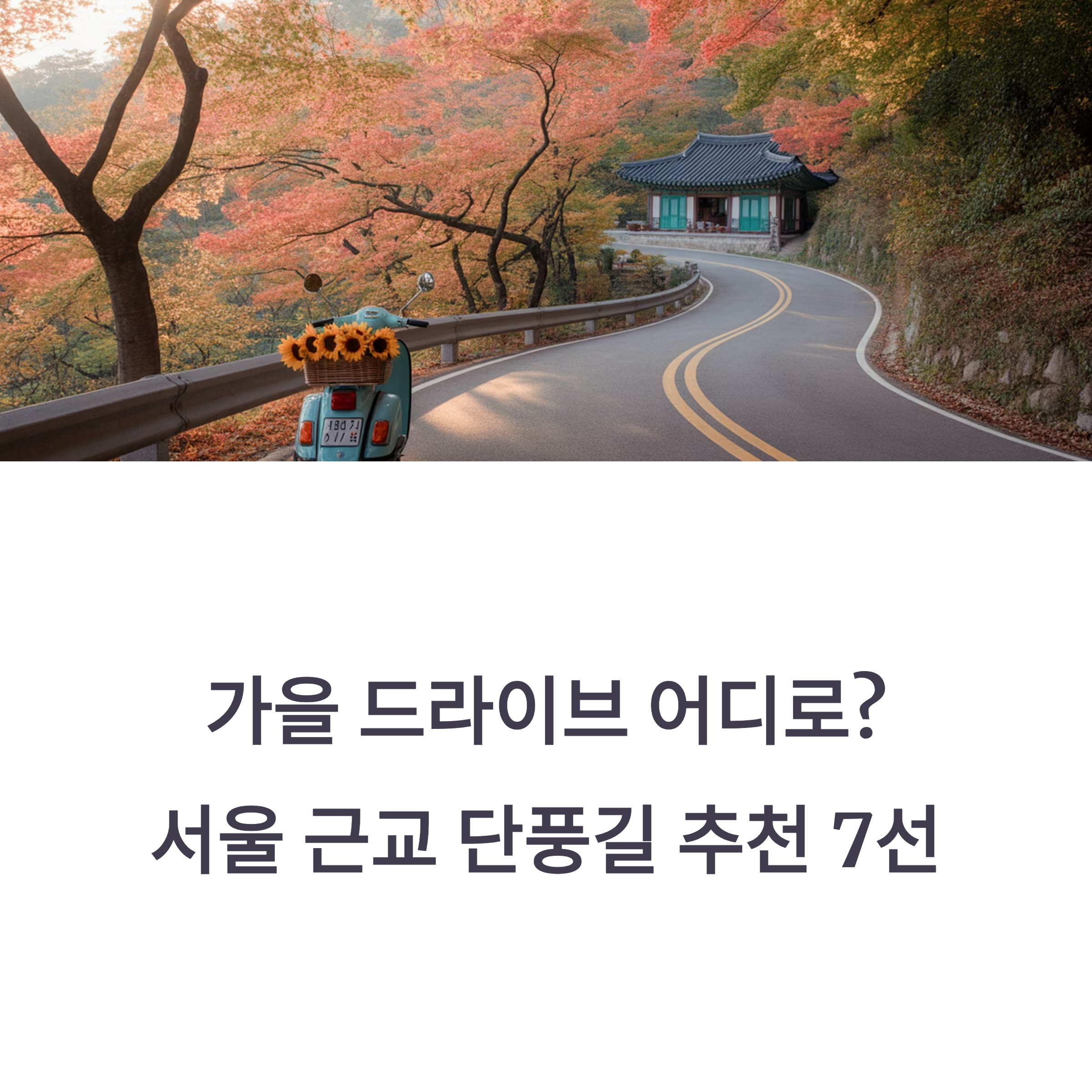 가을 드라이브 어디로? 서울 근교 단풍길 추천 7선