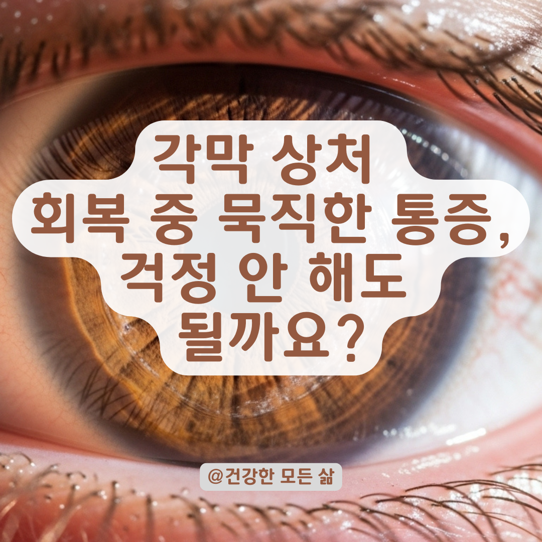 각막 상처 후 남는 묵직한 통증, 회복 중 흔한 증상일까? 회복 경과 체크포인트.