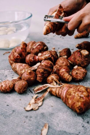 돼지감자차 효능12