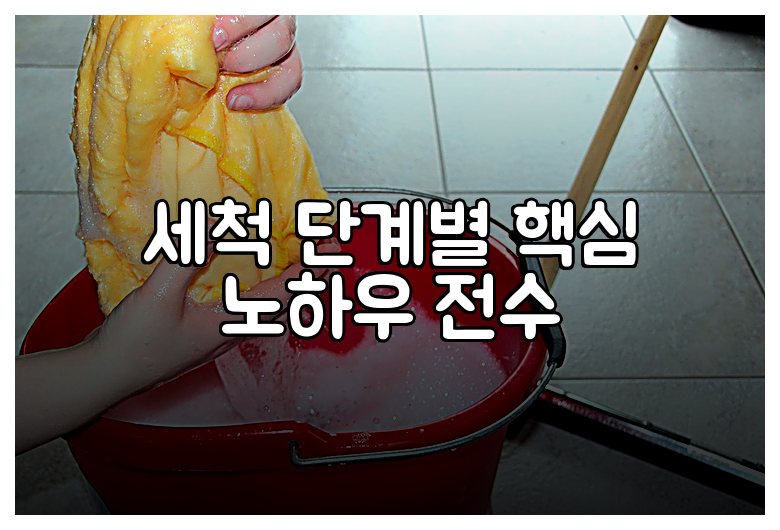 세척 단계별 핵심 노하우 전수