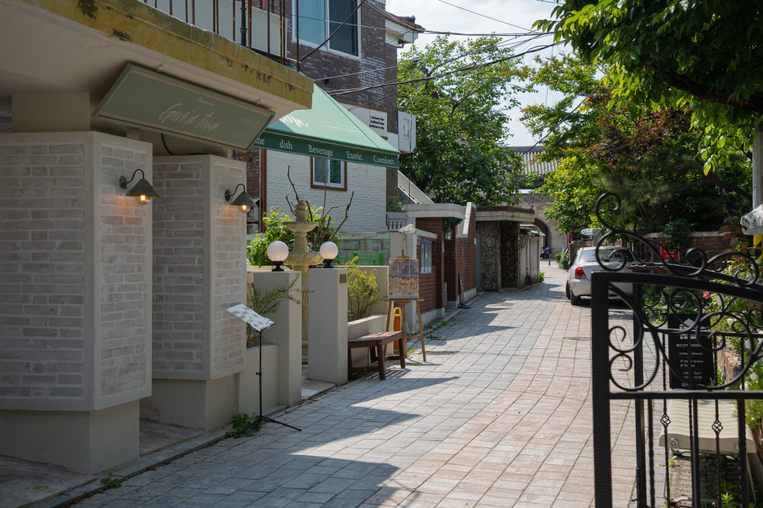 수원화성 행리단길 장미