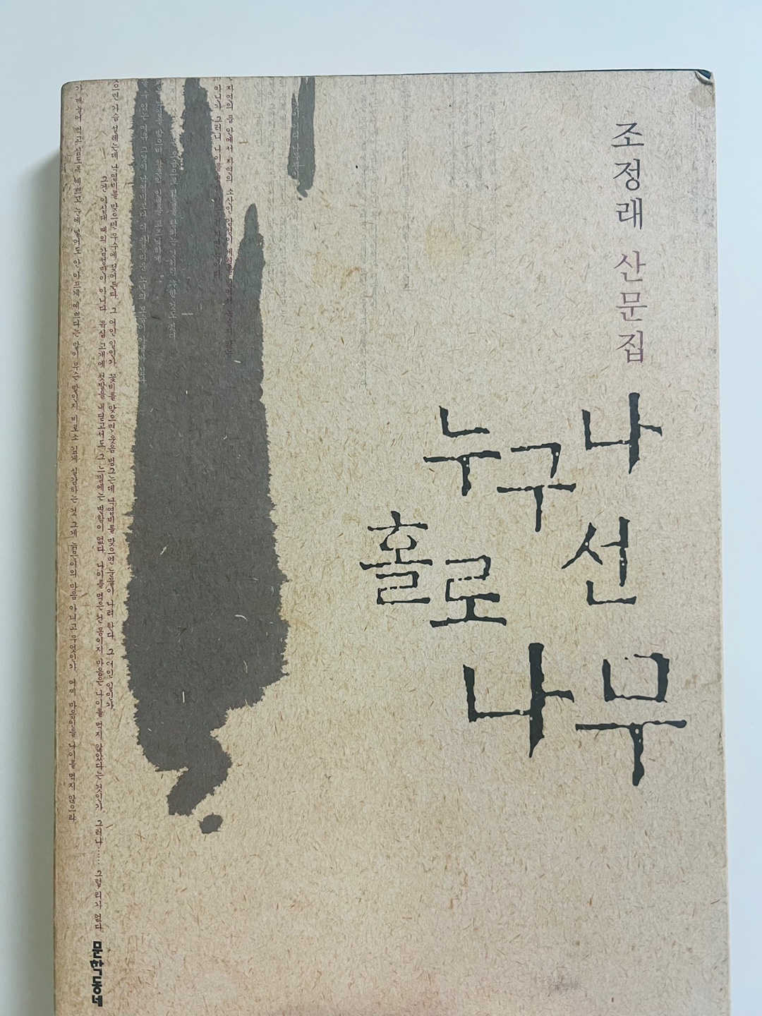 누구나 홀로 선 나무