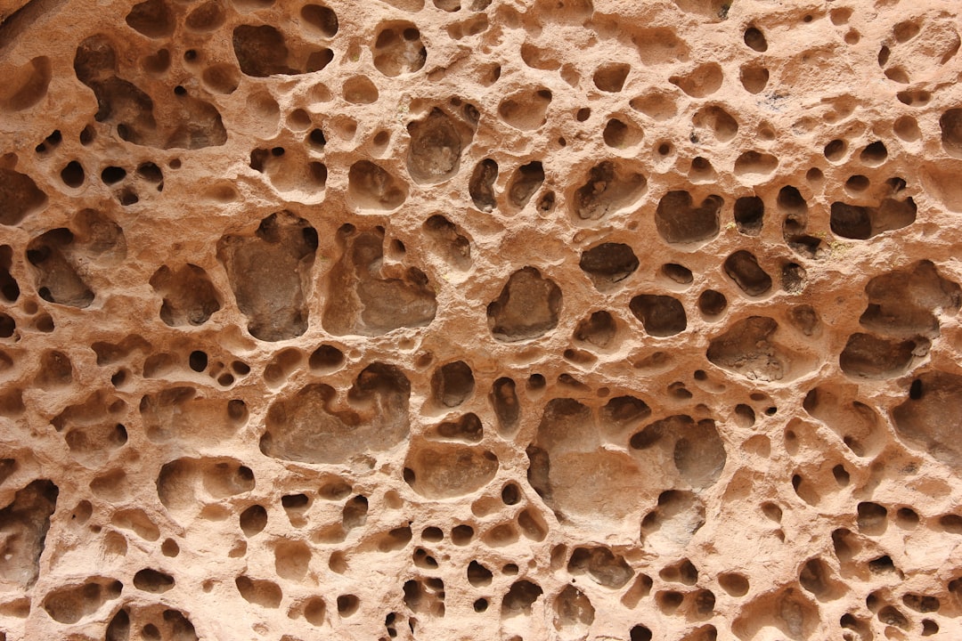 Osteoporosis