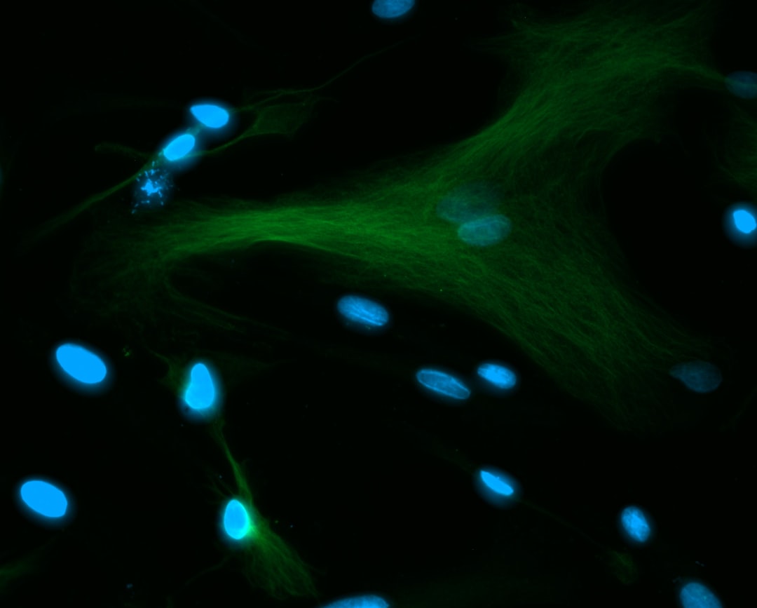 'Stem Cell'