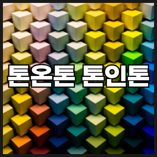 톤온톤 톤인톤