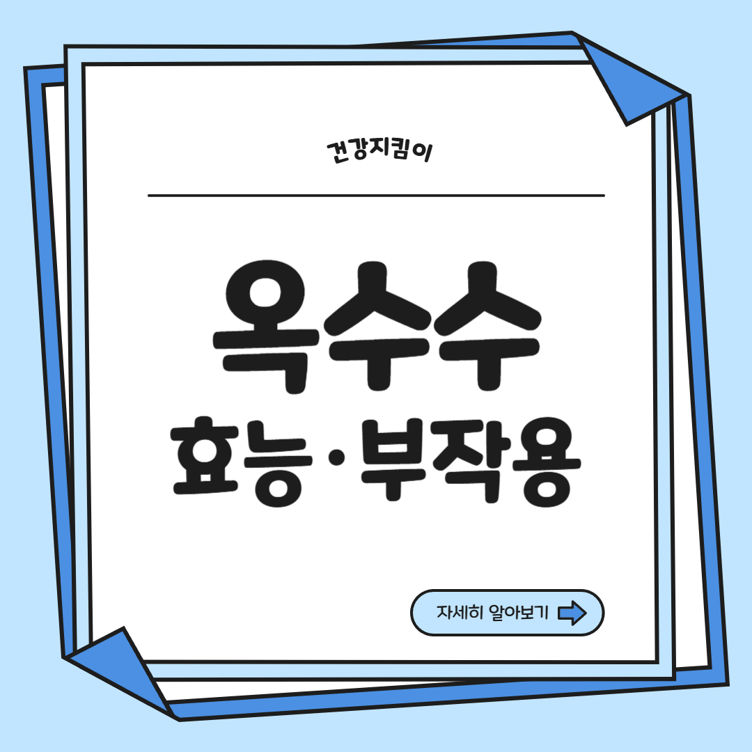 옥수수 효능과 부작용 영양성분 고르는법 칼로리
