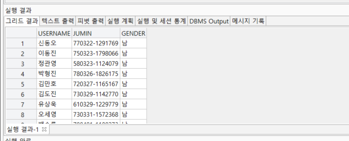 주민 번호를 입력 시 성별 변환해주는 함수 결과