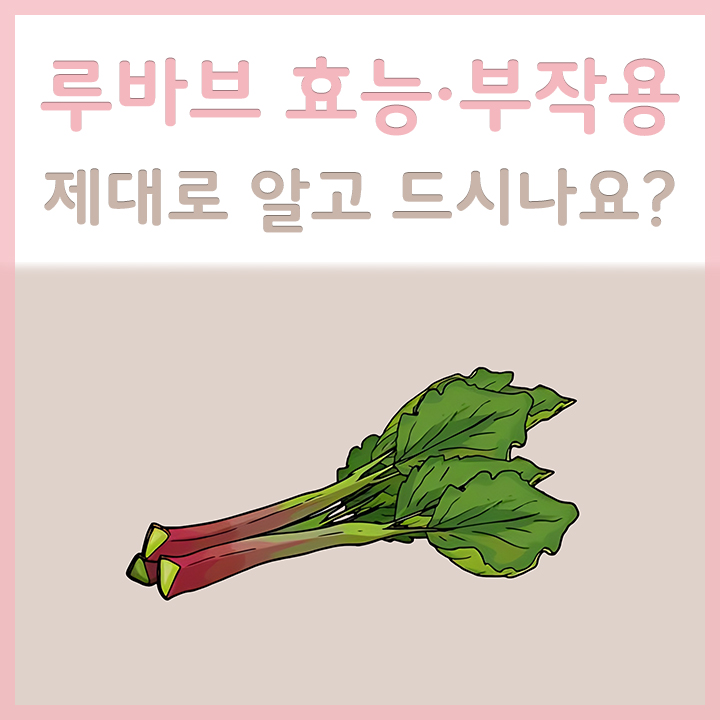 신선한-루바브-모습